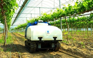 机器人农业如何用人工智能提升效率？