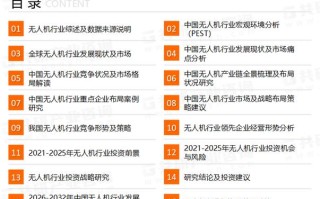 2025年无人机销量将如何？