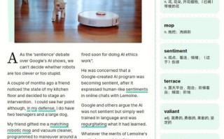 AI机器人翻译英文，精准度如何保证？