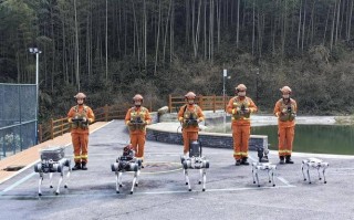 救援与动物机器人，如何协同救灾？