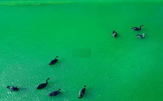 无人机如何实现水面停留？