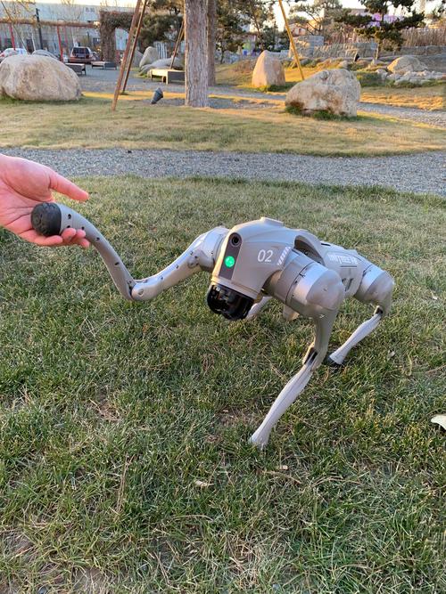 Airdog无人机怎么用？新手操作指南在此！-第2张图片-广州国自机器人