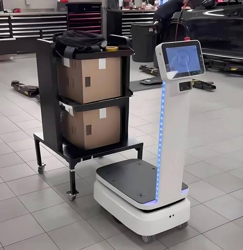 xiaoxing分拣搬运机器人如何提升分拣效率？-第1张图片-广州国自机器人