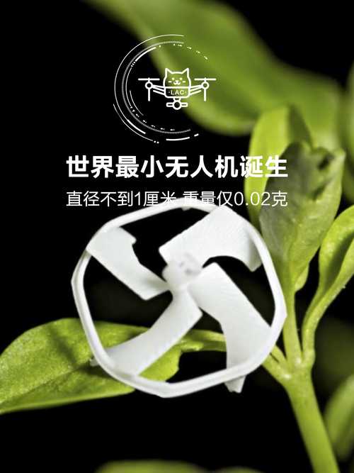 levetop超迷你无人机到底有多小？-第3张图片-广州国自机器人