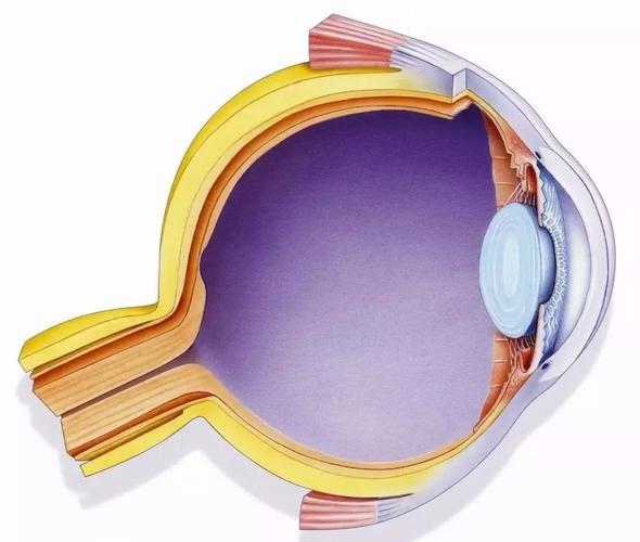 人工智能的检验标准究竟是什么？-第3张图片-广州国自机器人