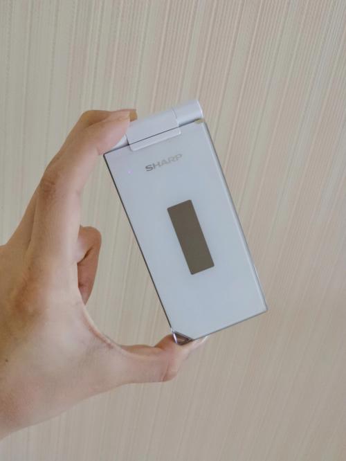 夏普robohon手机机器人，是未来助手还是玩具？-第1张图片-广州国自机器人