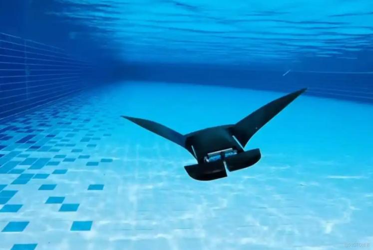 蝠鲼机器人MantaDroid如何实现高效仿生游动？-第1张图片-广州国自机器人