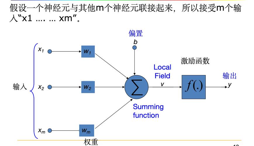 MIT神经网络如何突破AI极限？-第1张图片-广州国自机器人