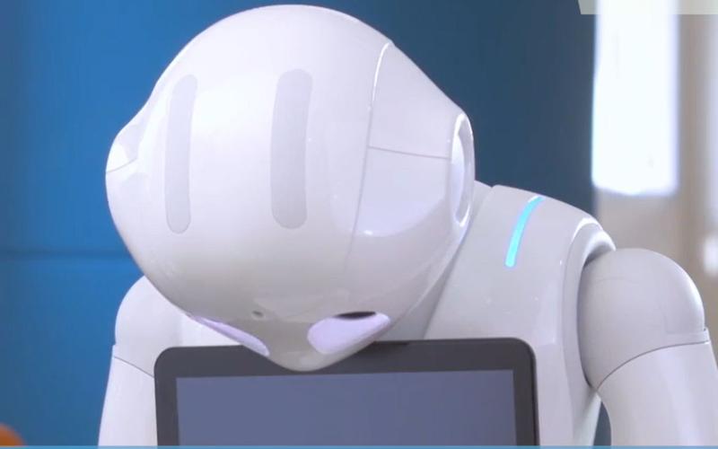 人工智能机器人pepper-第3张图片-广州国自机器人