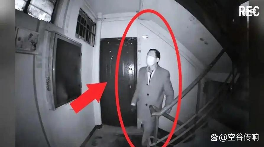 Alexa为何会说出诡异灵异事件?-第1张图片-广州国自机器人 Alexa为何会说出诡异灵异事件?-第1张图片-广州国自机器人