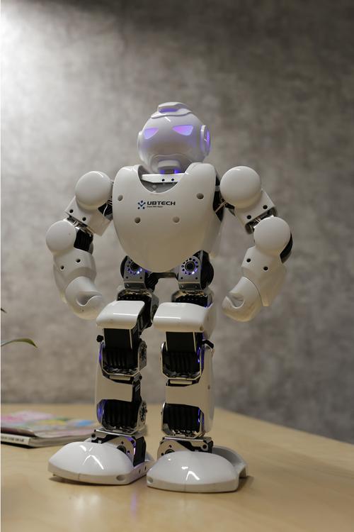 Alpha1pro机器人实际表现如何？-第1张图片-广州国自机器人