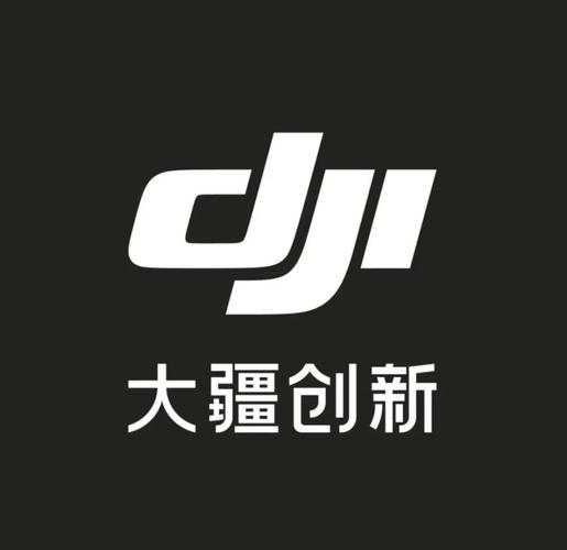 大疆无人机app官方下载哪里找？-第1张图片-广州国自机器人