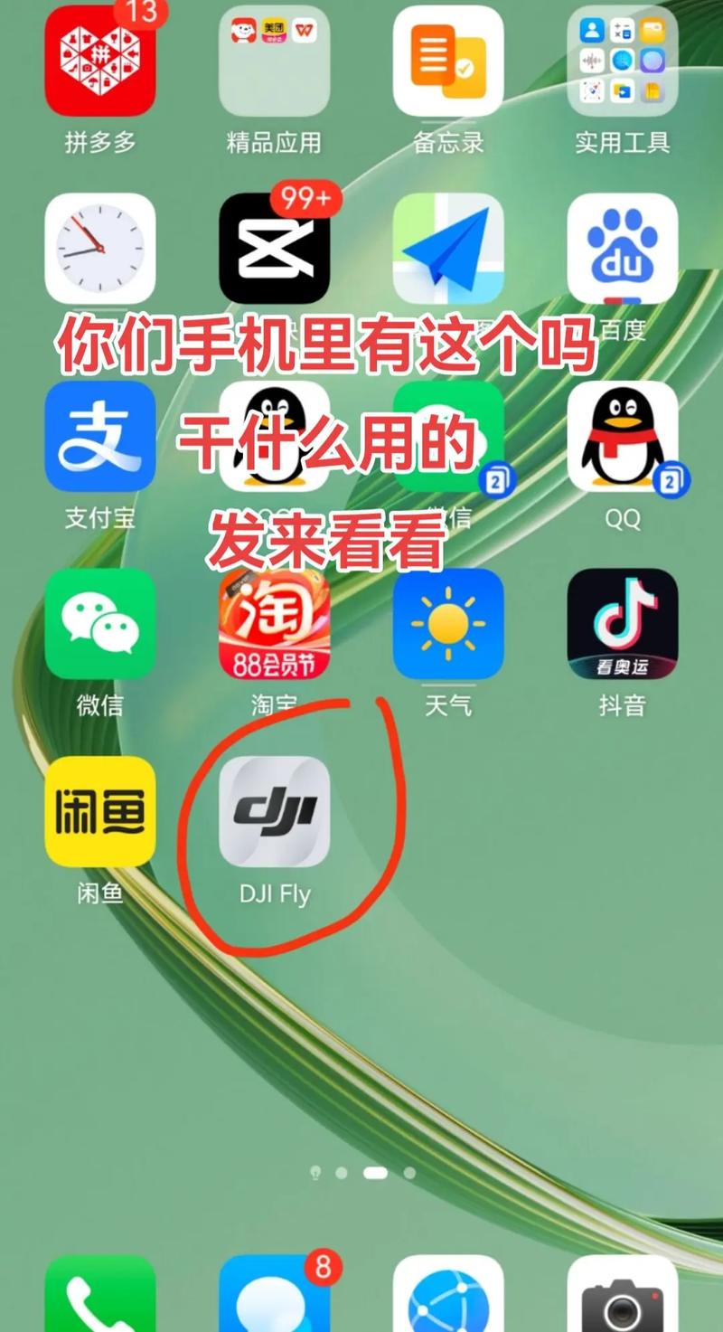 大疆无人机app官方下载哪里找？-第3张图片-广州国自机器人
