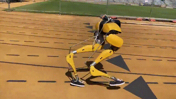 dfrobot 双足 机器人-第3张图片-广州国自机器人