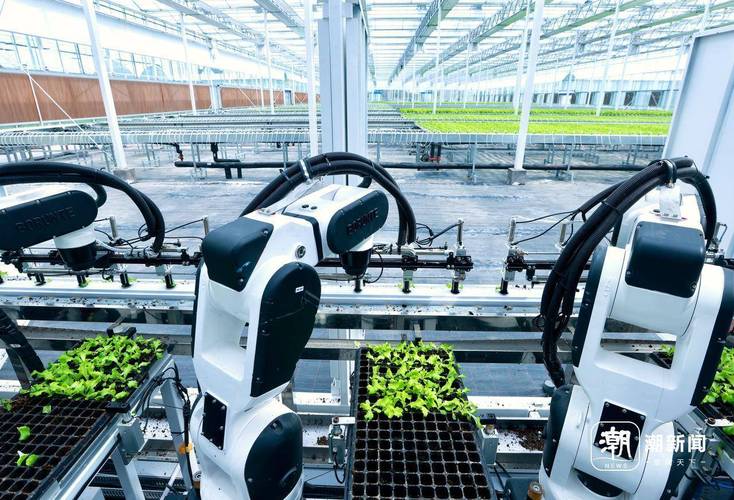 人工智能如何赋能农业智慧升级?-第1张图片-广州国自机器人 人工智能如何赋能农业智慧升级?-第1张图片-广州国自机器人