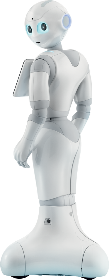 Pepper机器人开发服务如何定制？-第2张图片-广州国自机器人