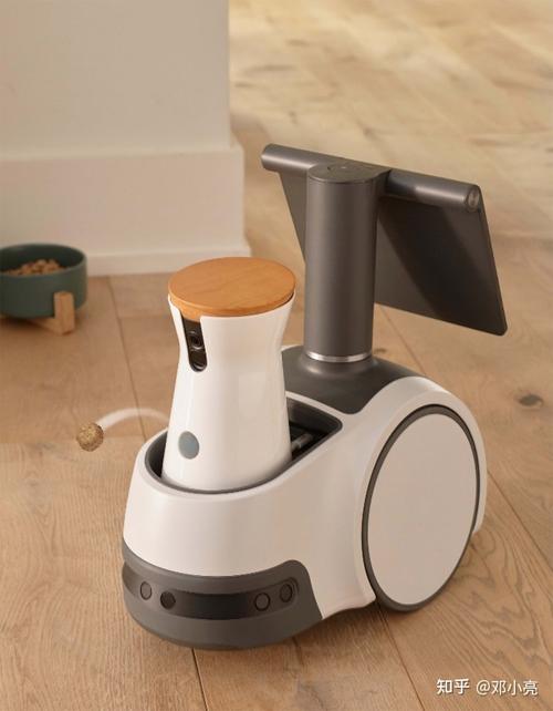 亚马逊Vesta家庭机器人有何实用功能？-第2张图片-广州国自机器人