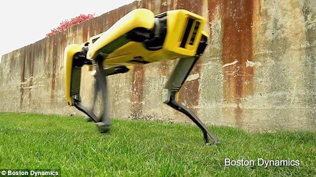 Spotmini，狗形机器人能做什么？-第3张图片-广州国自机器人