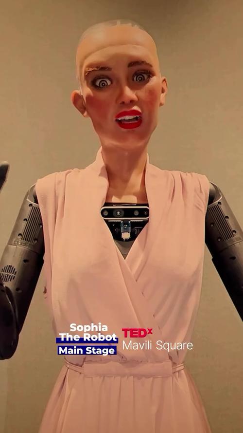 英国智能机器人sophia-第2张图片-广州国自机器人