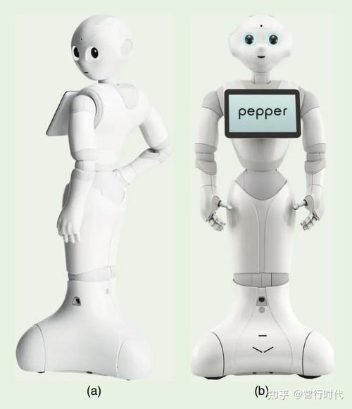Pepper机器人用什么语言开发？-第2张图片-广州国自机器人