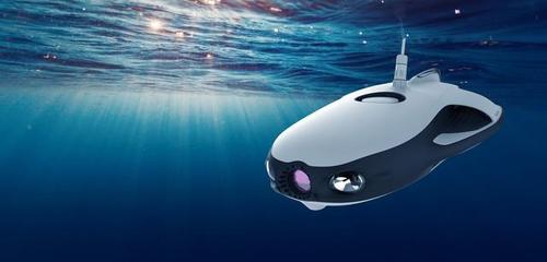 水下机器人powerray有何独特优势？-第1张图片-广州国自机器人