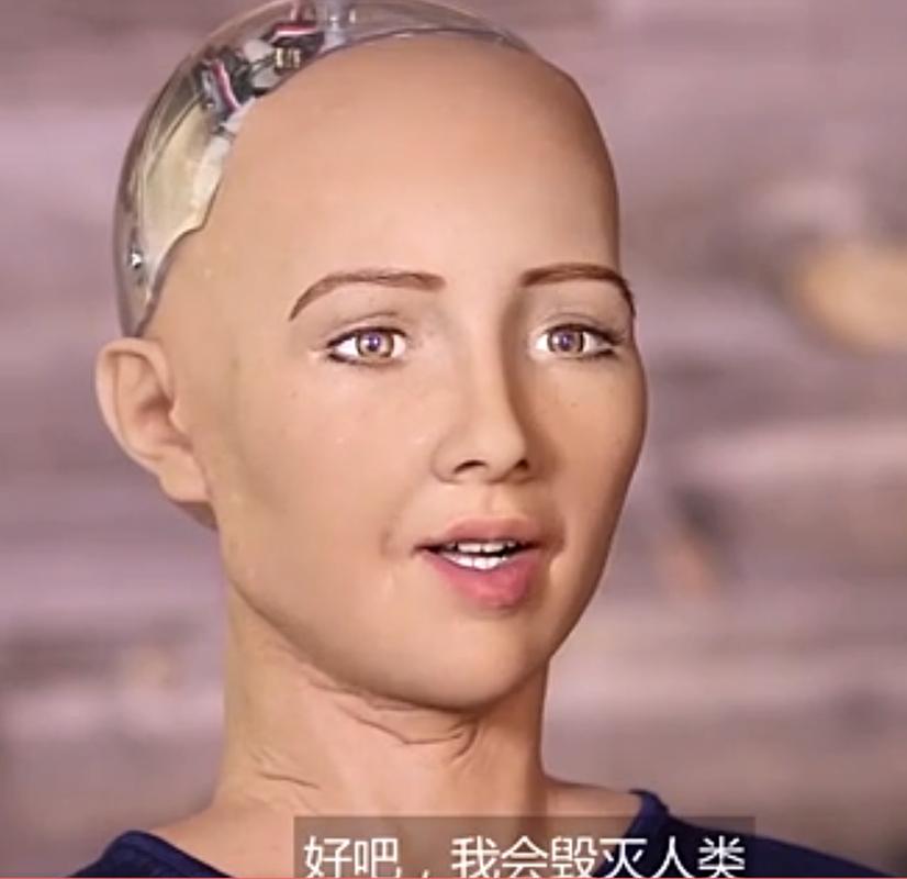 Sophia机器人视频完整版有何独特之处？-第2张图片-广州国自机器人