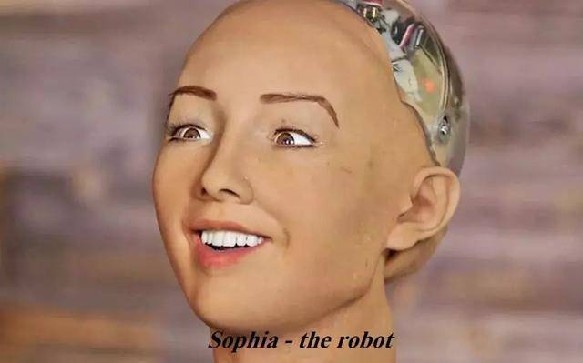 英国 机器人 sophia-第3张图片-广州国自机器人