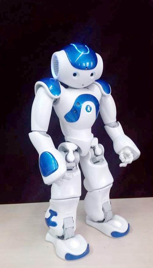 nao机器人 kinect-第1张图片-广州国自机器人