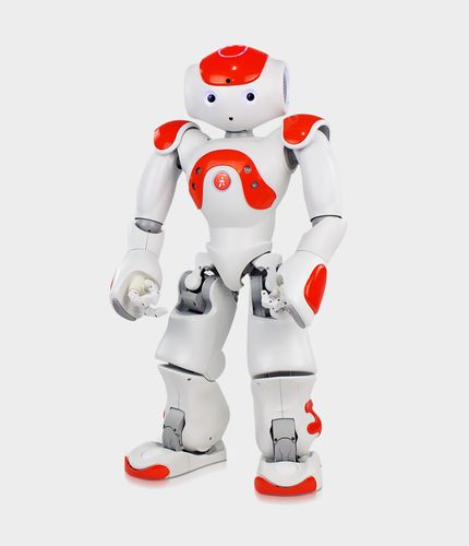 nao机器人 kinect-第3张图片-广州国自机器人