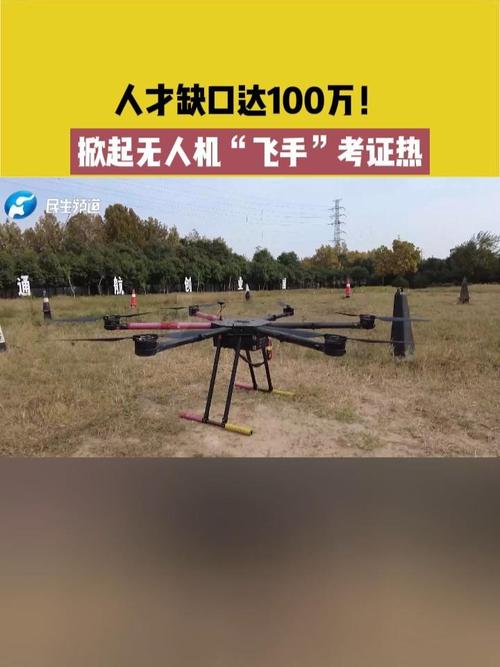 日照无人机飞手就业趋势如何？-第3张图片-广州国自机器人