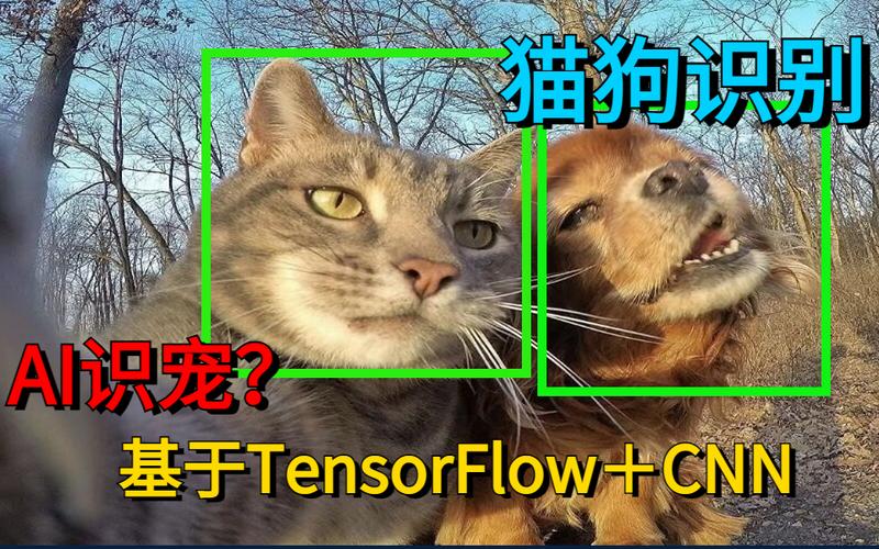 猫和狗的识别 人工智能-第2张图片-广州国自机器人