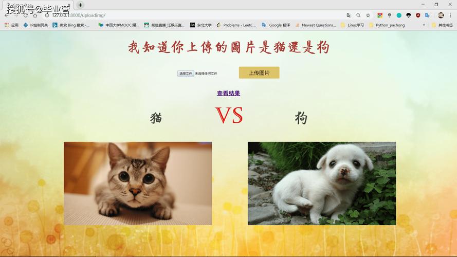 猫和狗的识别 人工智能-第3张图片-广州国自机器人