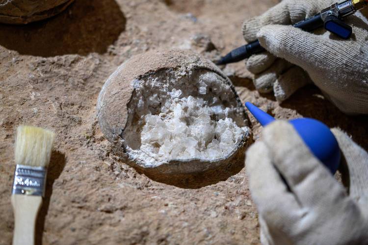 宇宙无人机工厂收集化石-第3张图片-广州国自机器人