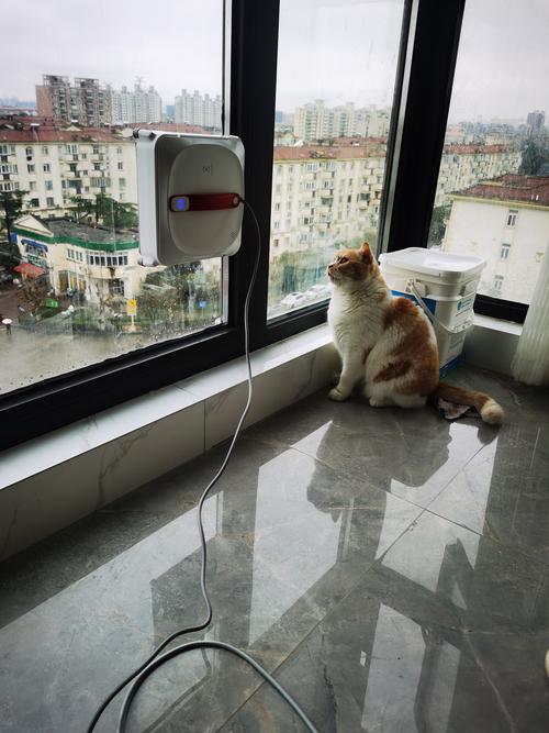 科沃斯W950擦窗机器人实际清洁效果如何？-第2张图片-广州国自机器人