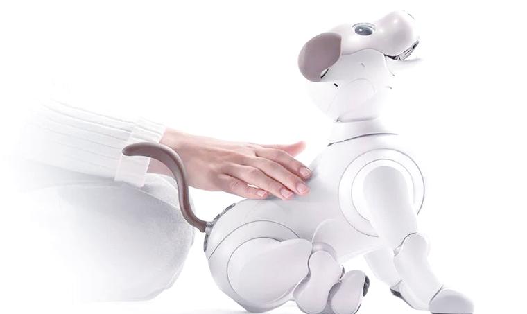 aibo机器人是智能伙伴还是科技玩具？-第2张图片-广州国自机器人