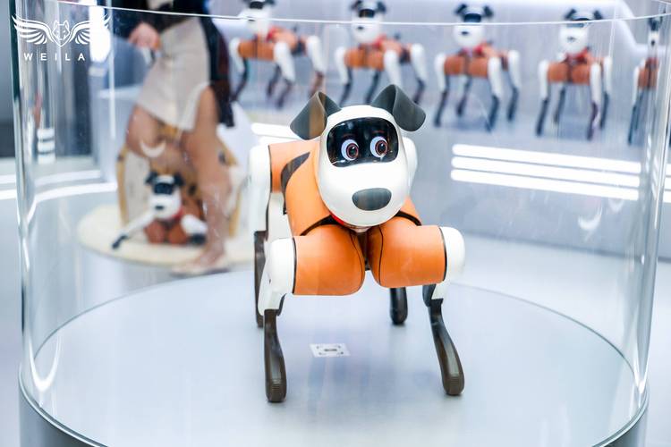 baby q机器人玩坏-第3张图片-广州国自机器人