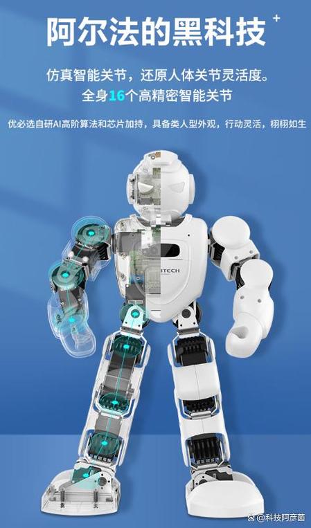 杭州阿尔法机器人待遇怎么样？-第1张图片-广州国自机器人