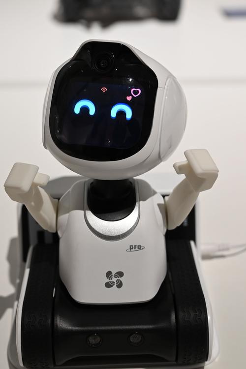 青岛高新mini机器人-第2张图片-广州国自机器人