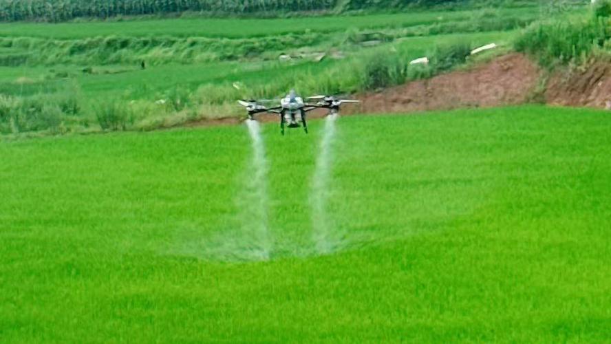 无人机喷洒农药培训同期，有何重点内容？-第1张图片-广州国自机器人