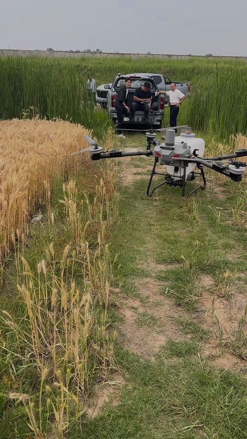 无人机低空遥感如何赋能智慧农业？-第3张图片-广州国自机器人