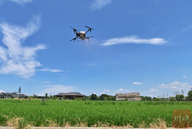 无人机低空遥感如何赋能智慧农业？-第1张图片-广州国自机器人