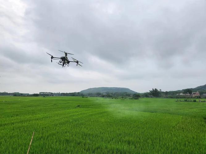 无人机低空遥感如何赋能智慧农业？-第2张图片-广州国自机器人