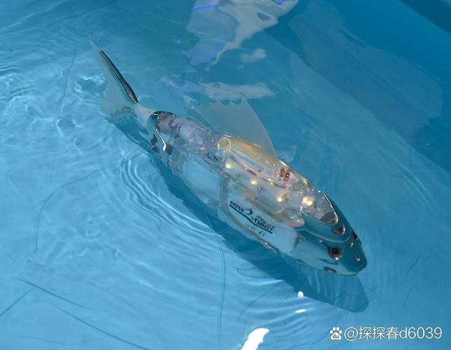 海洋无人机如何高效清理垃圾？-第2张图片-广州国自机器人