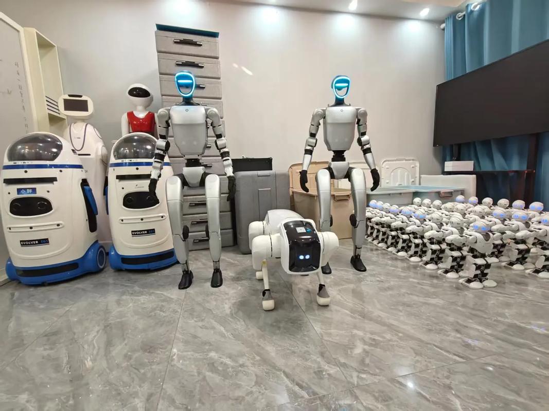 上海哪里能租到阿尔法机器人？-第1张图片-广州国自机器人