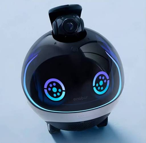 国外智能机器人品牌有哪些领先者？-第1张图片-广州国自机器人