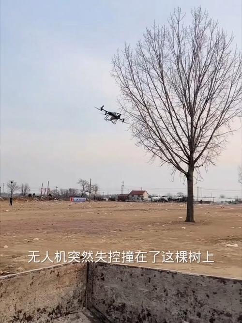 无人机撞树后如何安全停机？-第1张图片-广州国自机器人