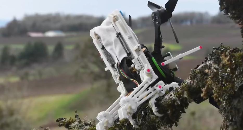 250克以下无人机在日本怎么用？-第1张图片-广州国自机器人