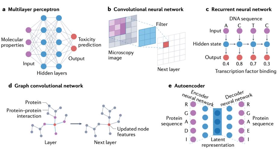 BP神经网络如何赋能人工智能？-第3张图片-广州国自机器人