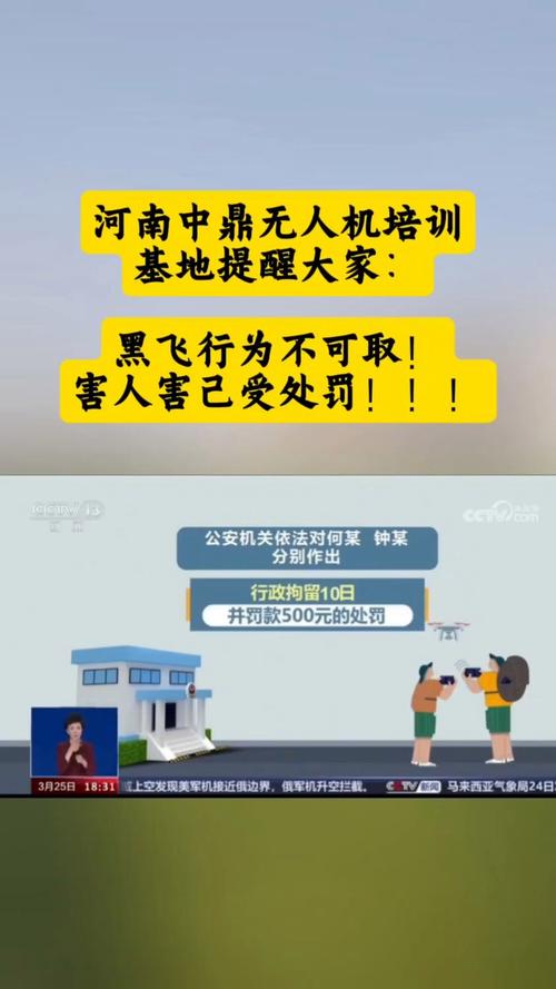 北京无人机黑飞为何会判刑？-第2张图片-广州国自机器人