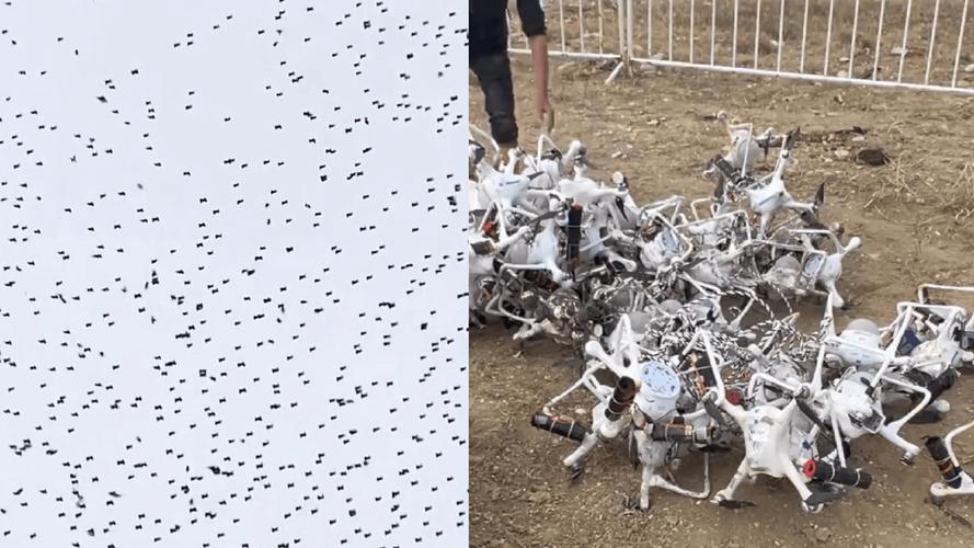 中国无人机王坠海，何因？-第2张图片-广州国自机器人